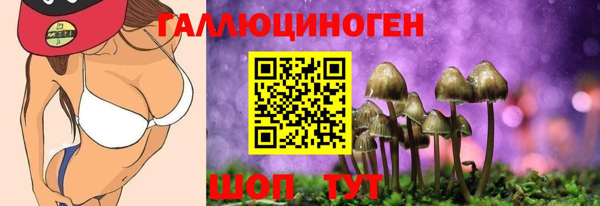 Надым  Галлюциногенные грибы MAGIC MUSHROOMS  Вход с VPN 